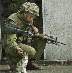 大兵网络搞笑段子视频,笑料横生！大兵网络搞笑段子视频集锦