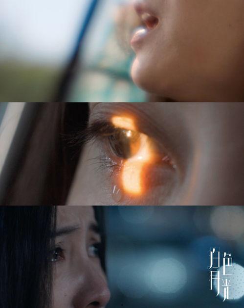 月光白视频,探寻东方美学与自然之美的交融