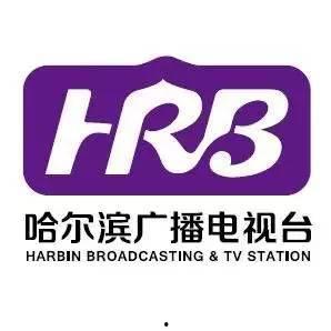 辽宁卫视媒体爆料视频,揭秘神秘事件背后真相