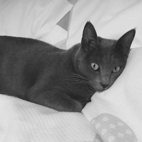 无码 自慰 番号封面