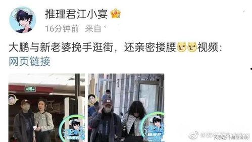 大鹏养家爆料视频大全,深度解析财经热点与投资策略