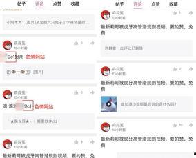 三个爆料视频在线播放网站,独家爆料带你一探究竟！