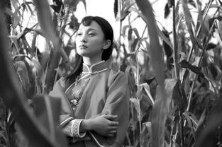 红高粱亲吻视频,红高粱亲吻视频引发网友热议