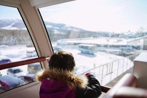 日本电影天堂雪,探寻日本冬日秘境的浪漫传奇