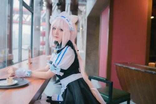 猫耳av可爱,萌动心弦的可爱之旅