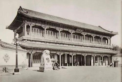 中南海日本,历史、现状与未来展望