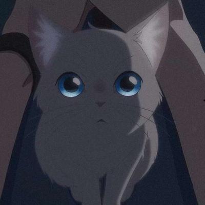 猫日本漫画图片,日本漫画中的猫咪奇幻之旅